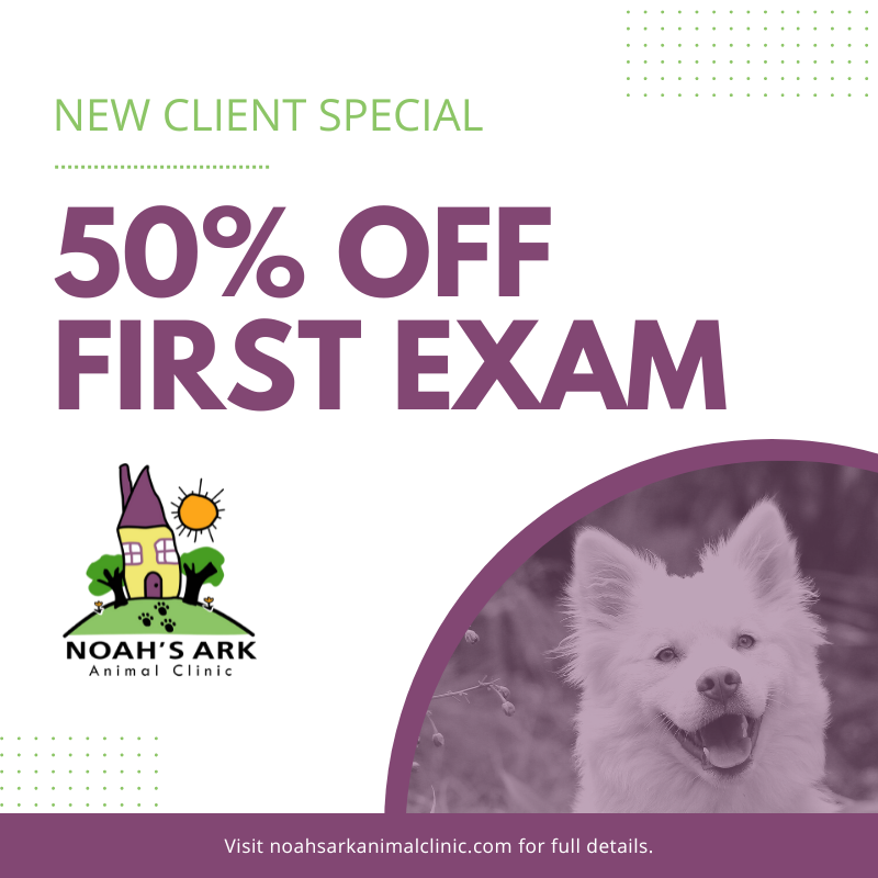Promotions – Noah's Ark Animal Clinic Promotions – Noah's Ark Animal Clinic