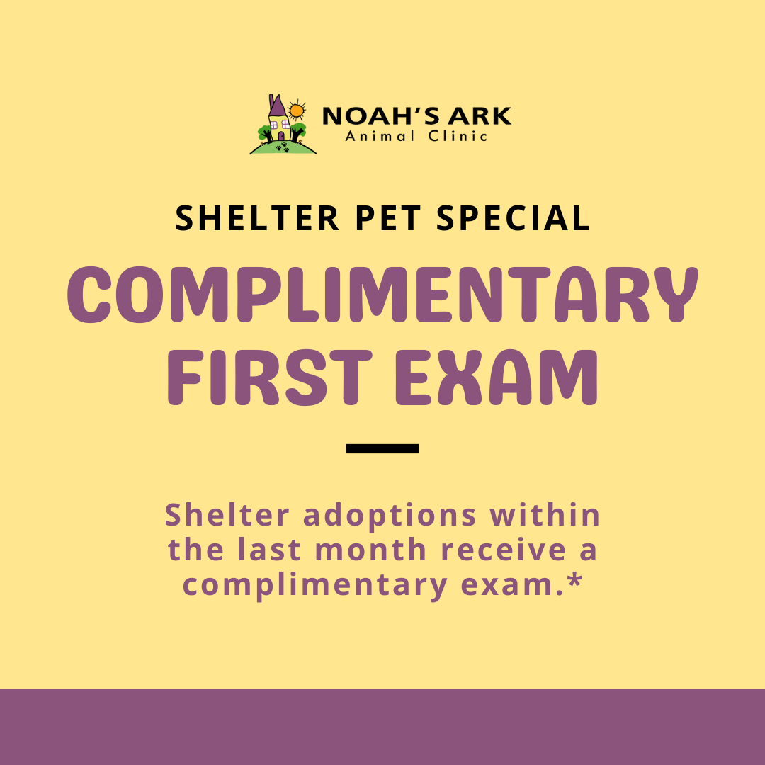 Noah’s Ark Animal Clinic – Kansas City Pet Care